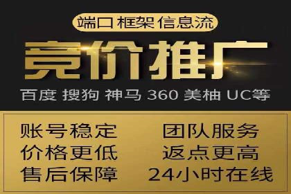 成功运用SEM技术提升网站流量的案例研究